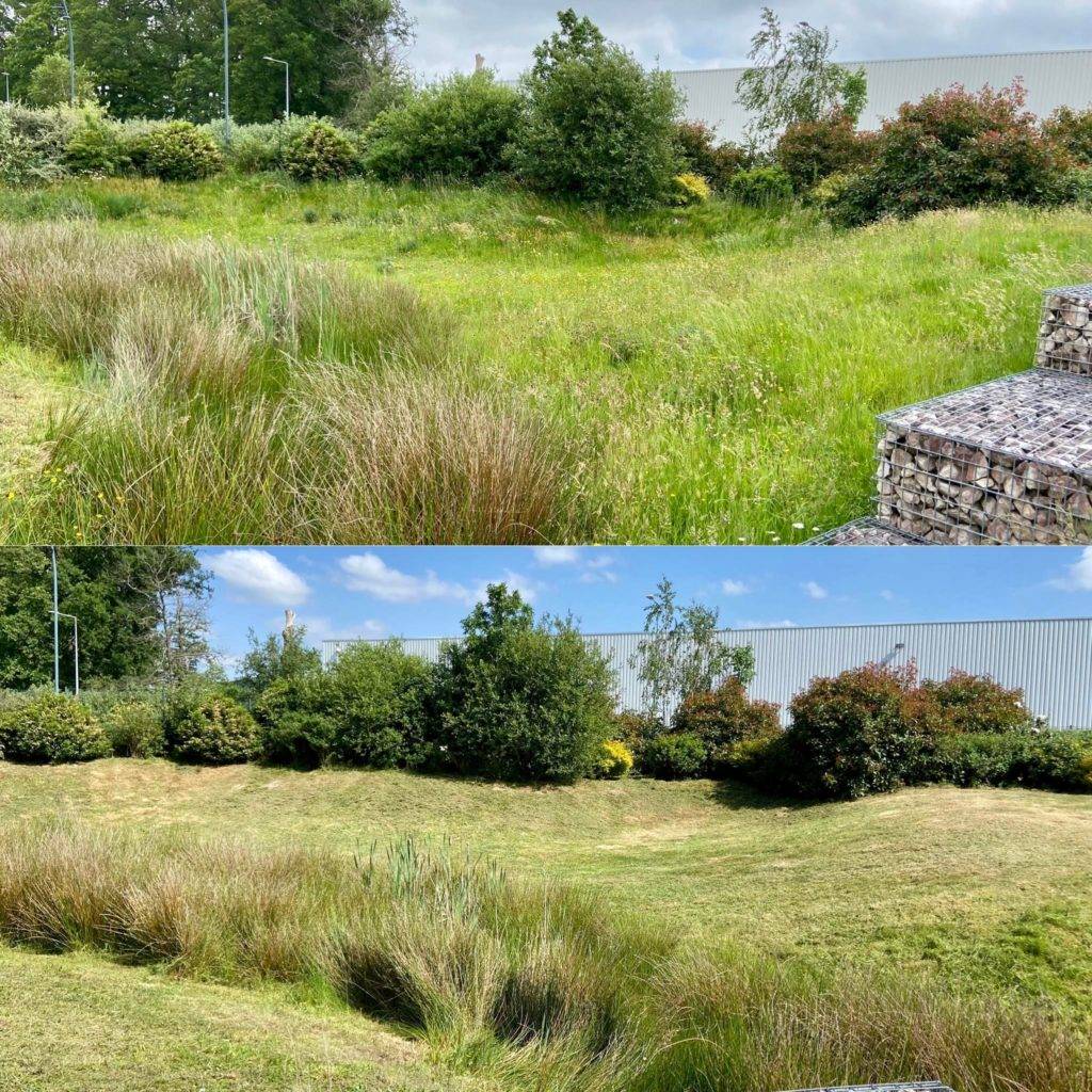 Jardin de l'Ouest - entretien de jardin