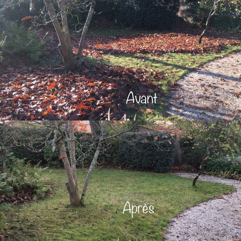 Jardin de l'Ouest - entretien de jardin