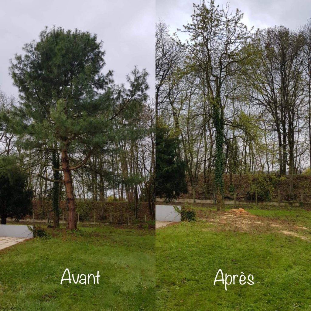 Abattage arbre Grandchamp des Fontaines