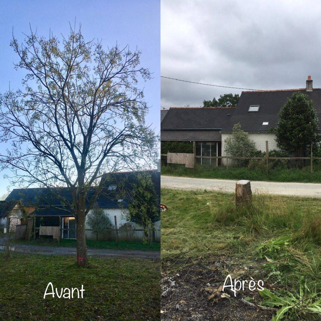 Abattage arbre Grandchamp des Fontaines