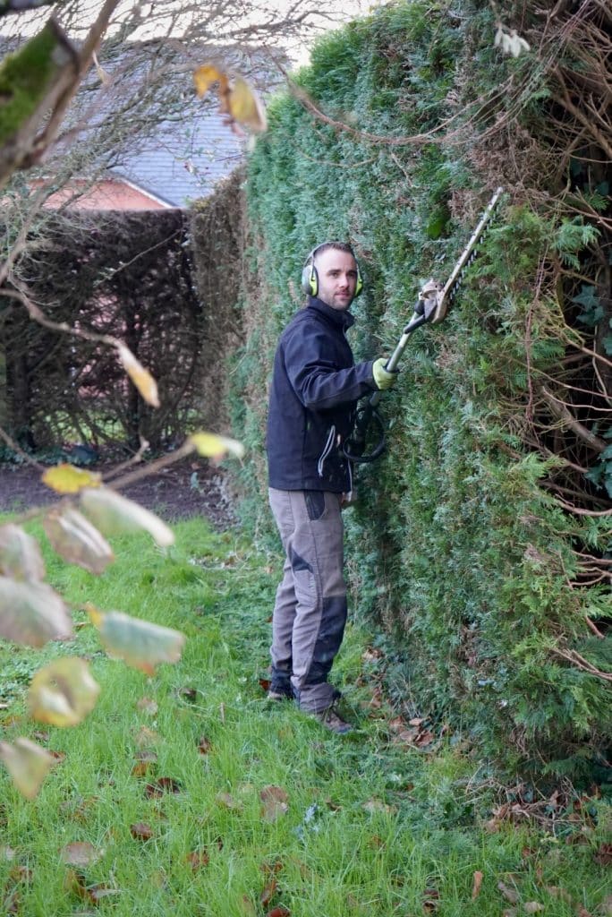 Taille de haie professionnelle